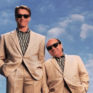 Arnold Schwarzenegger and Danny DeVito standing side by side representing the contrast between Auckland’s fast and slow growth suburbs