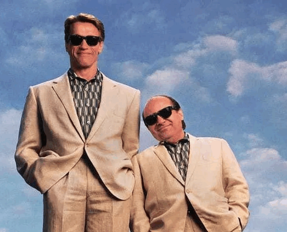 Arnold Schwarzenegger and Danny DeVito standing side by side representing the contrast between Auckland’s fast and slow growth suburbs