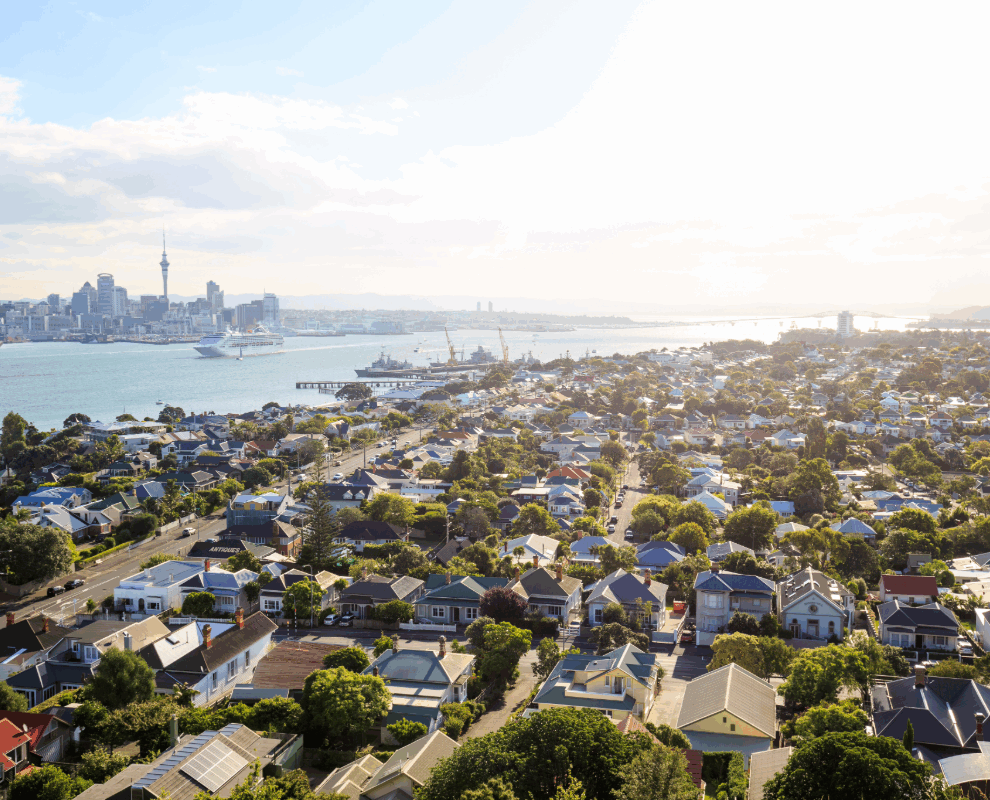 Urban redevelopment in progress—building density and future-focused investment